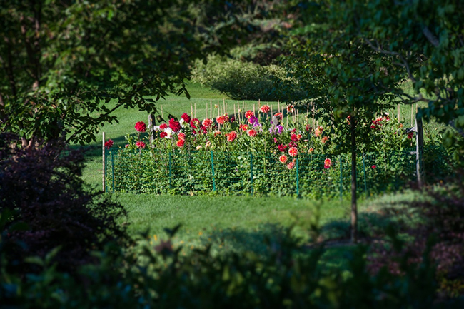 Bear Creek Farm